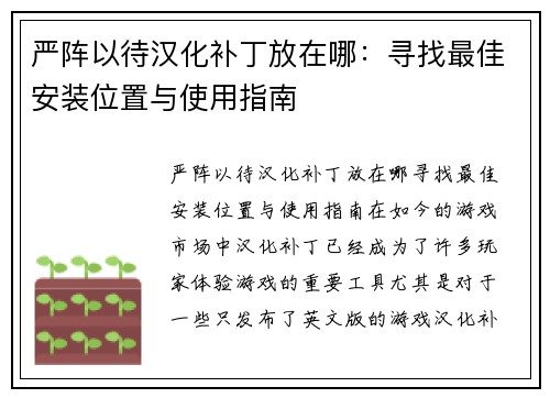 严阵以待汉化补丁放在哪：寻找最佳安装位置与使用指南